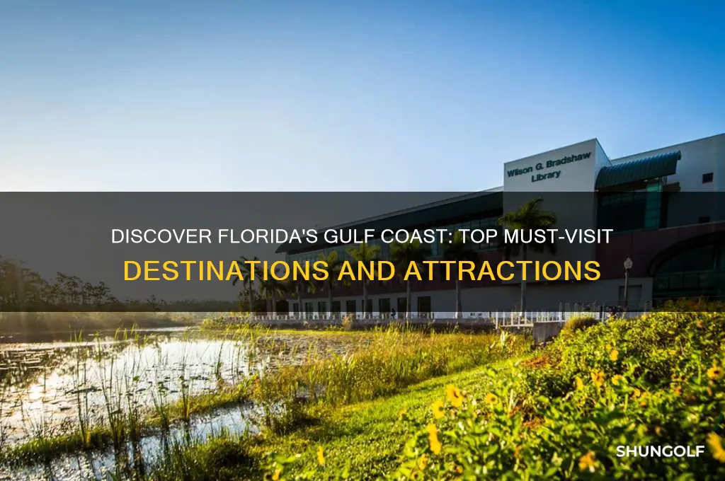 what to visit golf of mexico florida