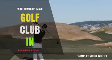 Discovering Ace Golf Club's Township Location: A Quick Guide