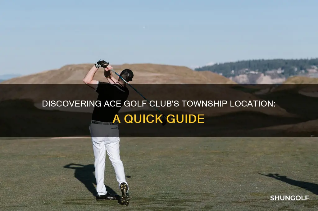 what township is ace golf club in