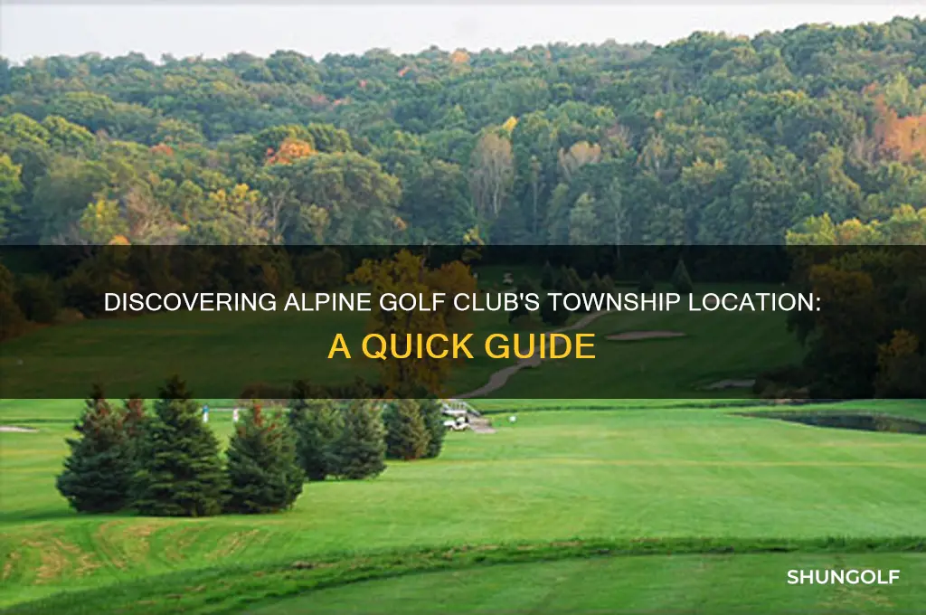 what township is alpine golf club in