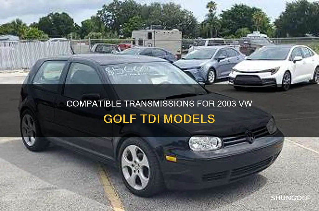 what transmissions will fit an 03 golf tdi
