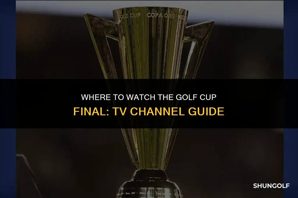 what tv channel is golf cup final