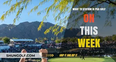 Where to Watch PGA Golf This Week: TV Schedule Guide