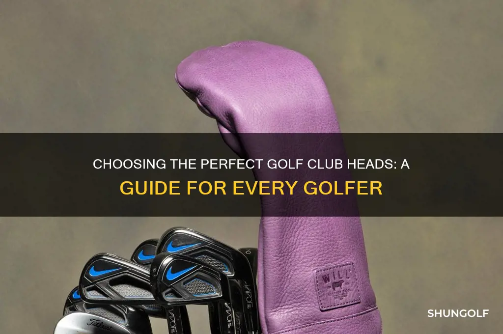 what type golf club heads are right for me