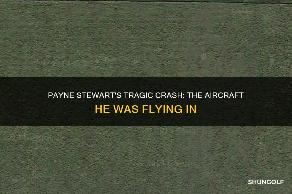 what type of aircraft was golfer payne stewart flying in