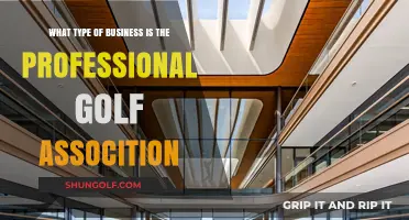 Understanding the Professional Golf Association's Business Model and Structure