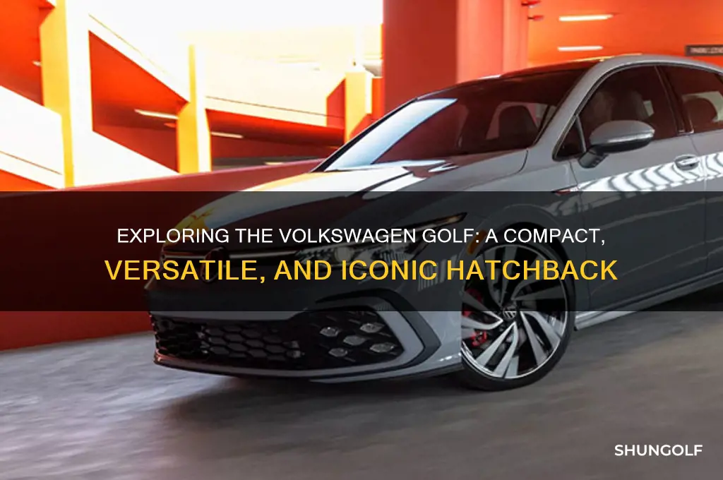 what type of car is a volkswagen golf