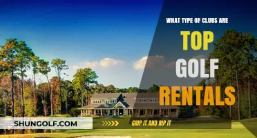 Top Golf Rentals: Exploring the Best Club Types for Every Player