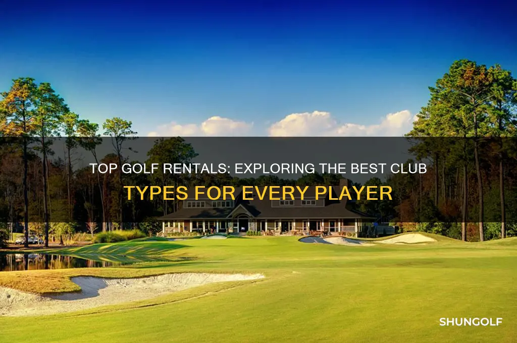 what type of clubs are top golf rentals