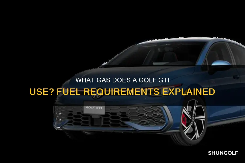 what type of gas does golf gti take