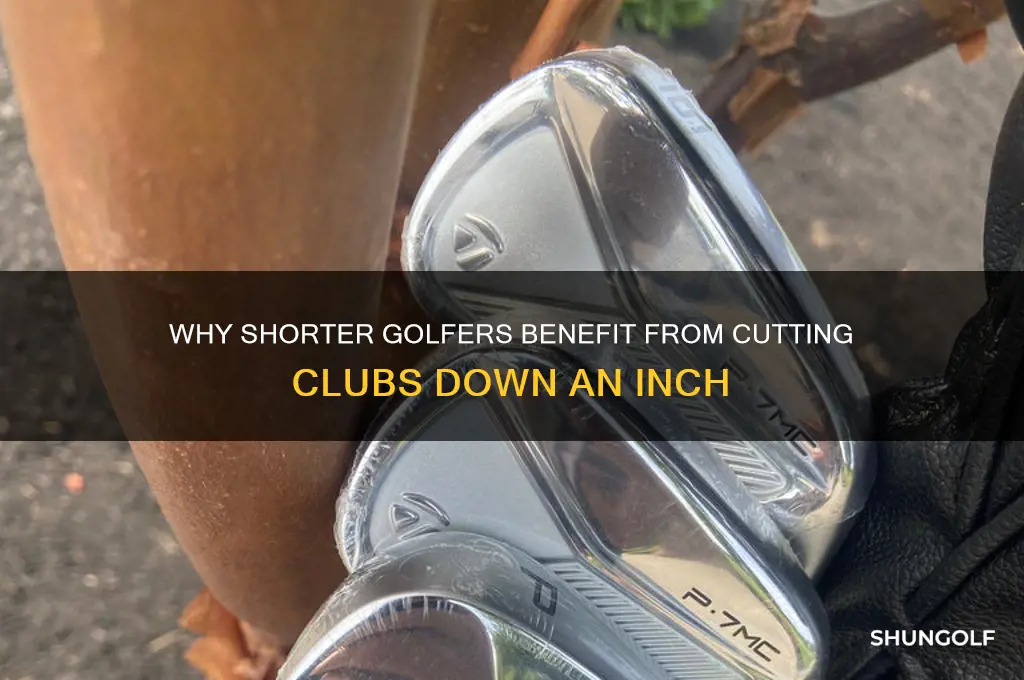 what type of golfer has club cut down inch