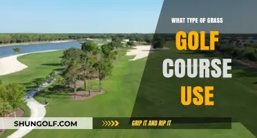 Exploring the Best Grass Types for Golf Courses: A Comprehensive Guide