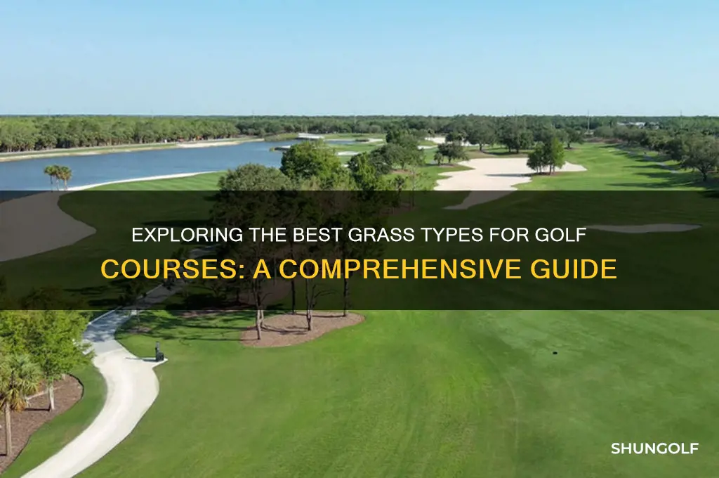 what type of grass golf course use