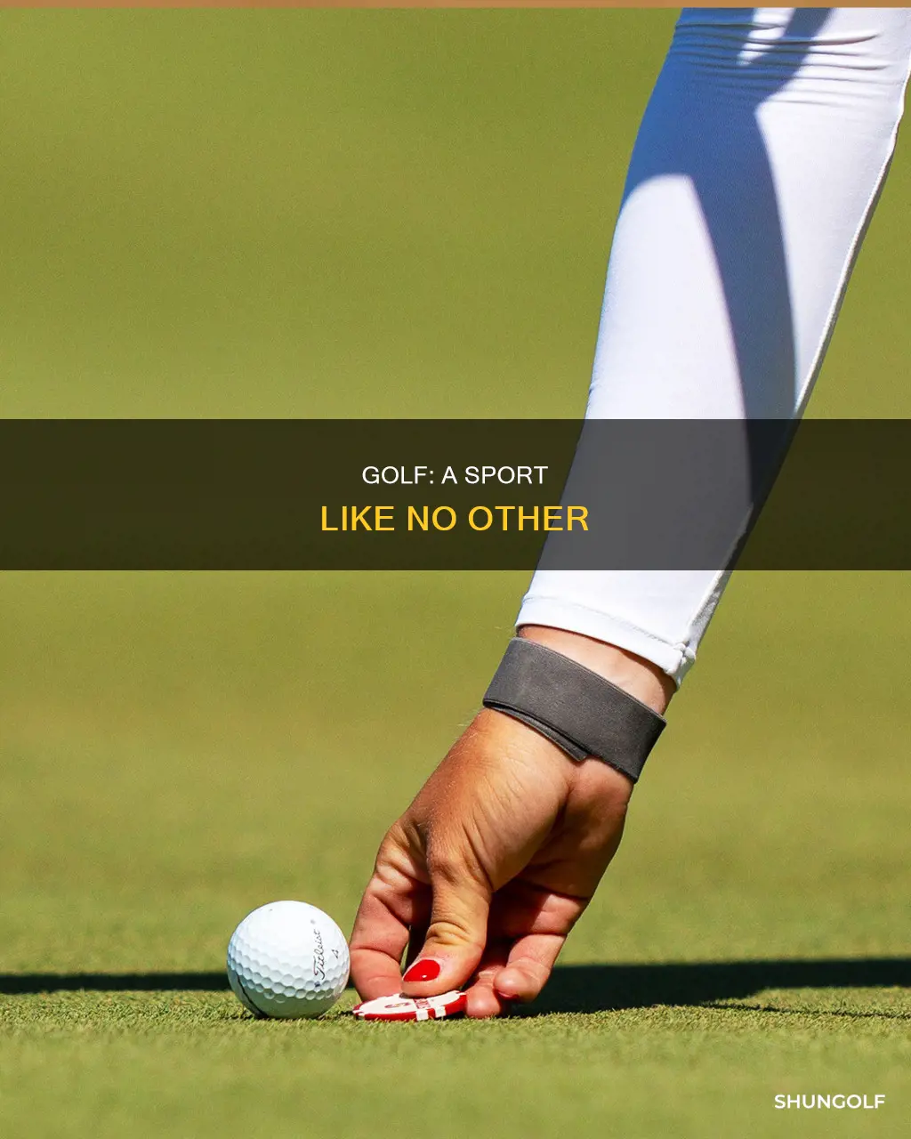what type of sport is golf