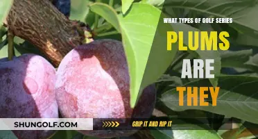 Exploring the Varieties of Golf Series Plums: A Comprehensive Guide