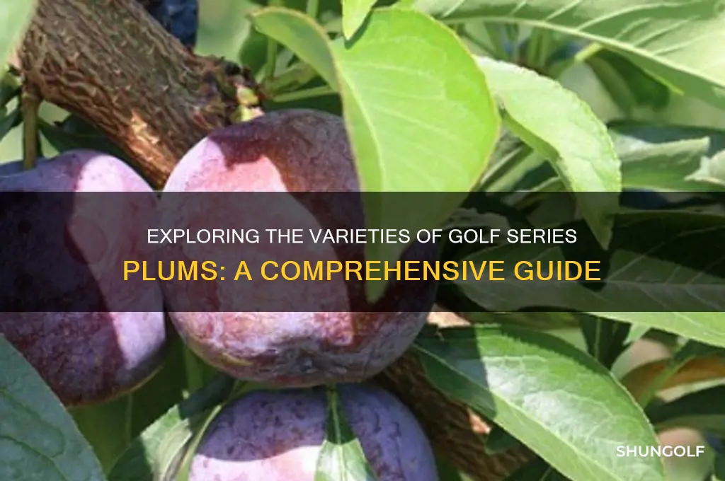 what types of golf series plums are they