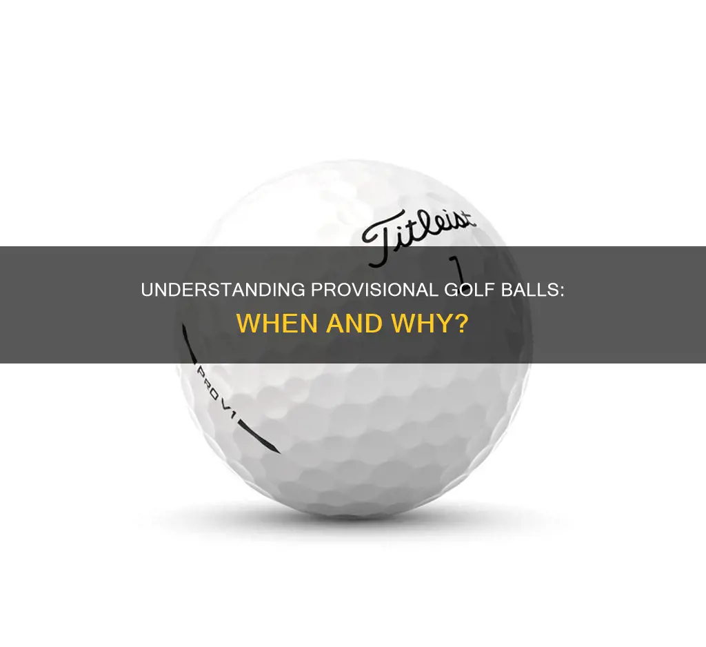 what us a provisional in golf