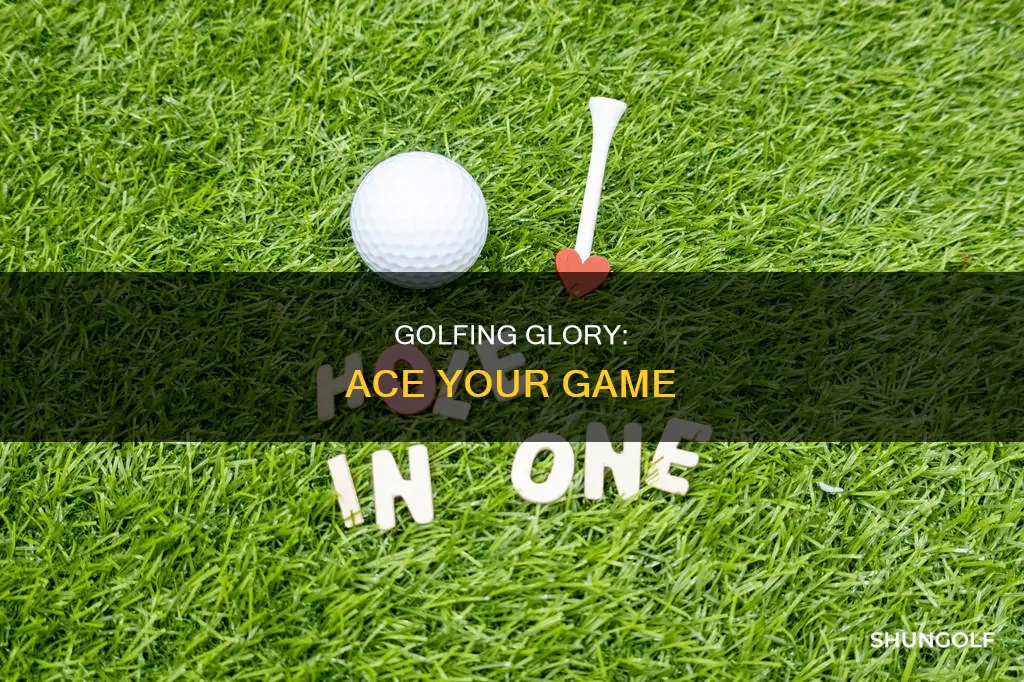 what us an ace in golf