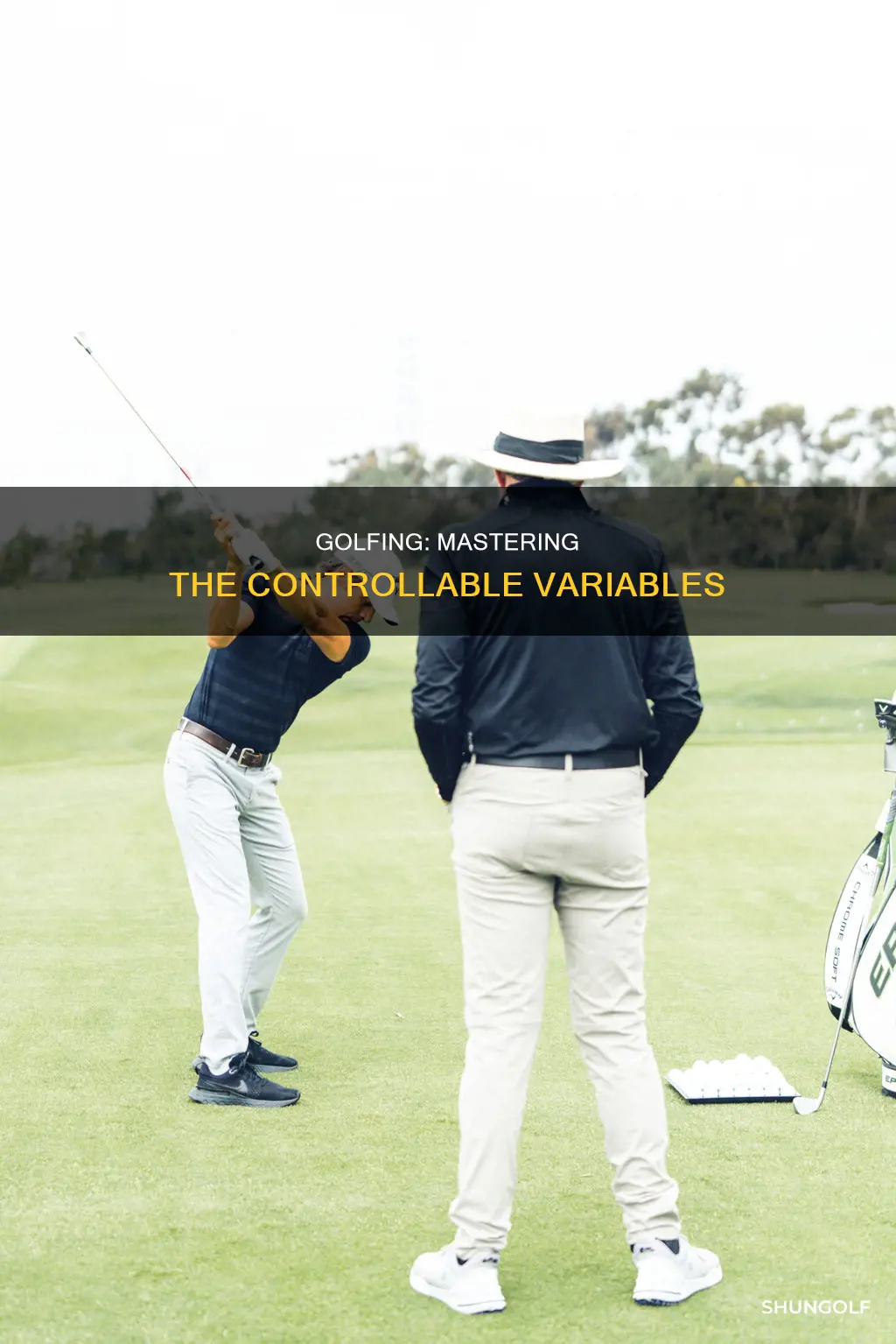 what variables does the golfer control