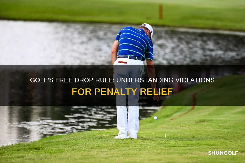 what violation in golf will result in a free drop