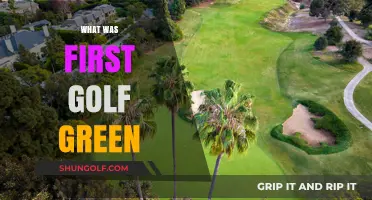 The First Golf Green: A Historical Perspective