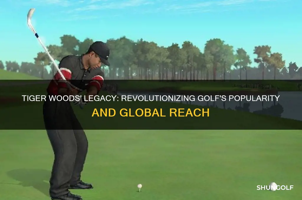 what was impact of tiger woods have on golf