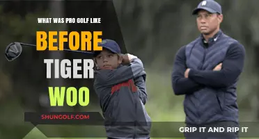 The Evolution of Pro Golf: Pre-Tiger Woods Era Explored