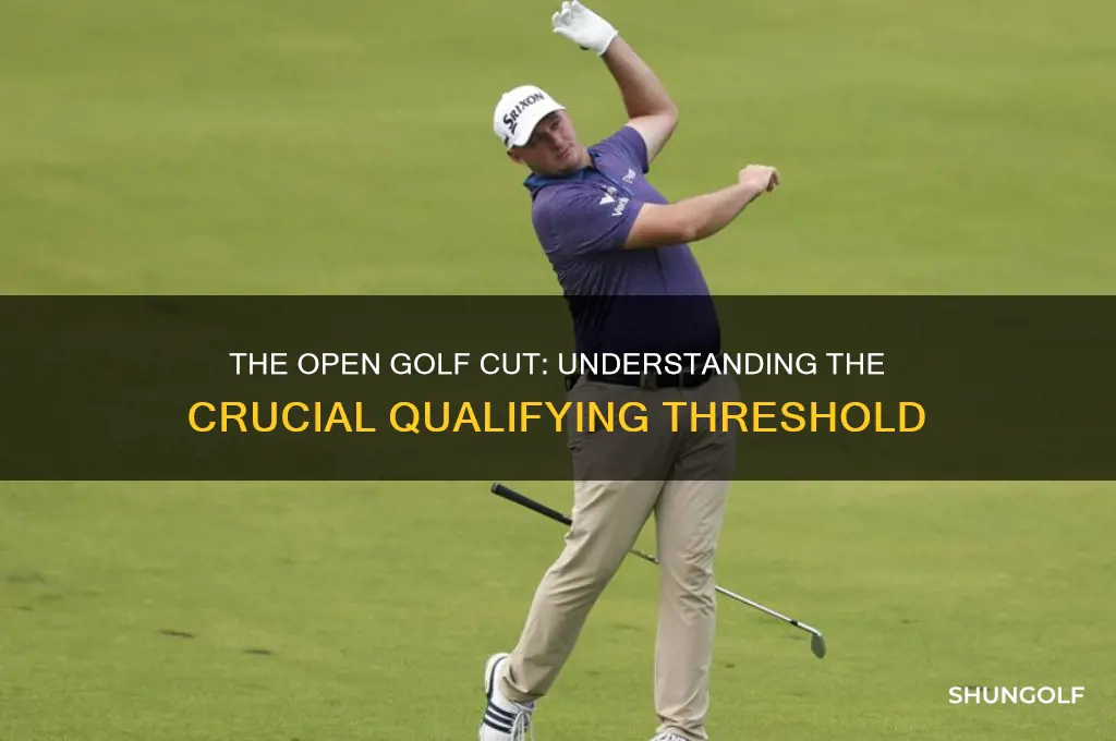what was the cut at the open golf