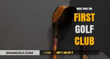 Unveiling the Origins: The First Golf Club's Historic Journey