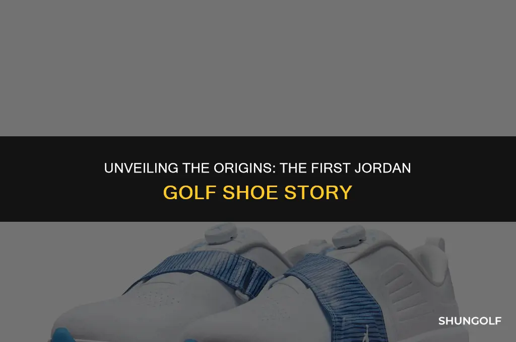 what was the first jordan golf shoe