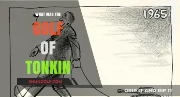 The Gulf of Tonkin Incident: A Historical Perspective