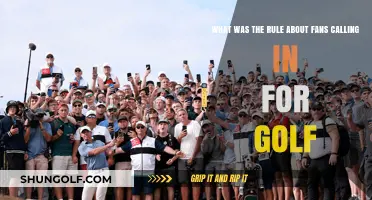 Golf's Fan Call-In Rule: History, Impact, and Modern Guidelines Explained