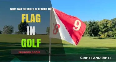 Understanding Golf's Flag Stick Rules: Leaving It In or Out?