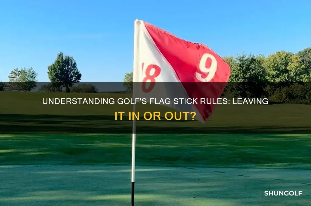 what was the rules of leaving the flag in golf