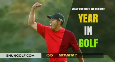 Tiger Woods' Phenomenal Golf Season: A Year to Remember