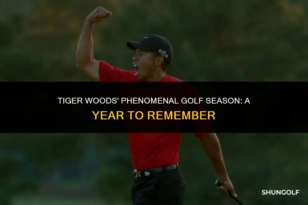 what was tiger woods best year in golf