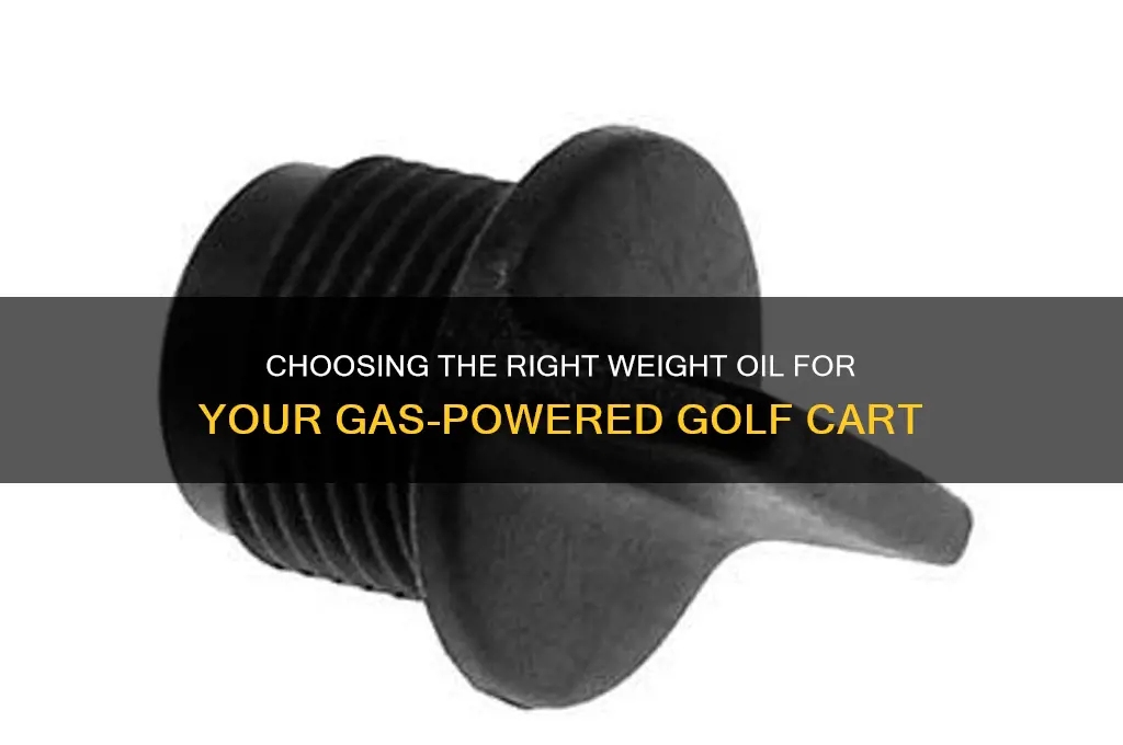what weight oil goes inyo a gas golf