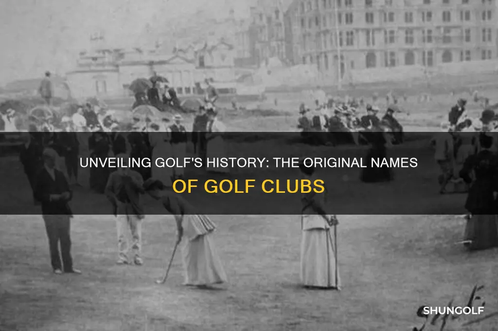 what were golf clubs originally called