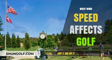 Wind Speed: A Golfer's Unseen Opponent