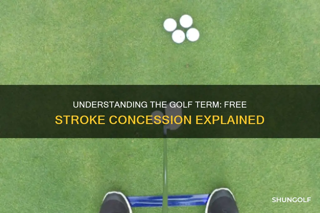 what word describes giving a golfer a free stroke
