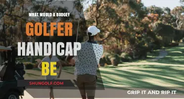 Understanding the Handicap of a Consistently Inconsistent Golfer