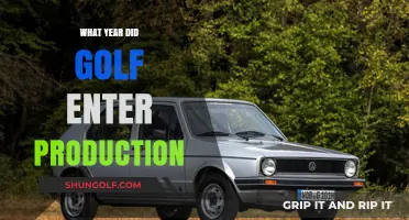 The Evolution of Golf: Year of Production Entry