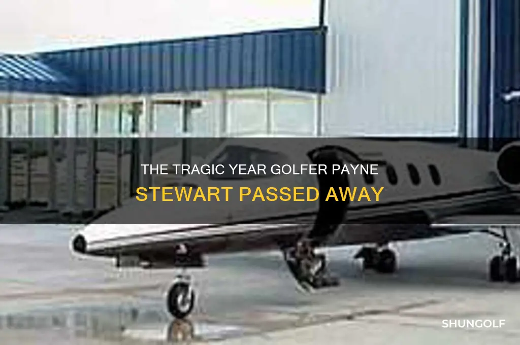 what year did golfer payne stewart die