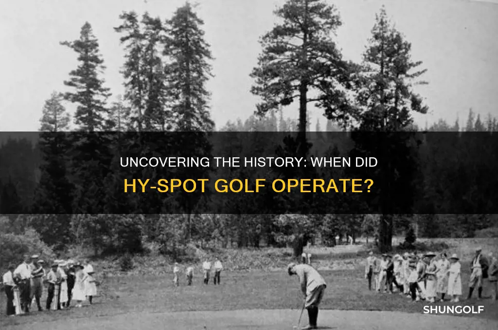 what year did hy-spot golf exist