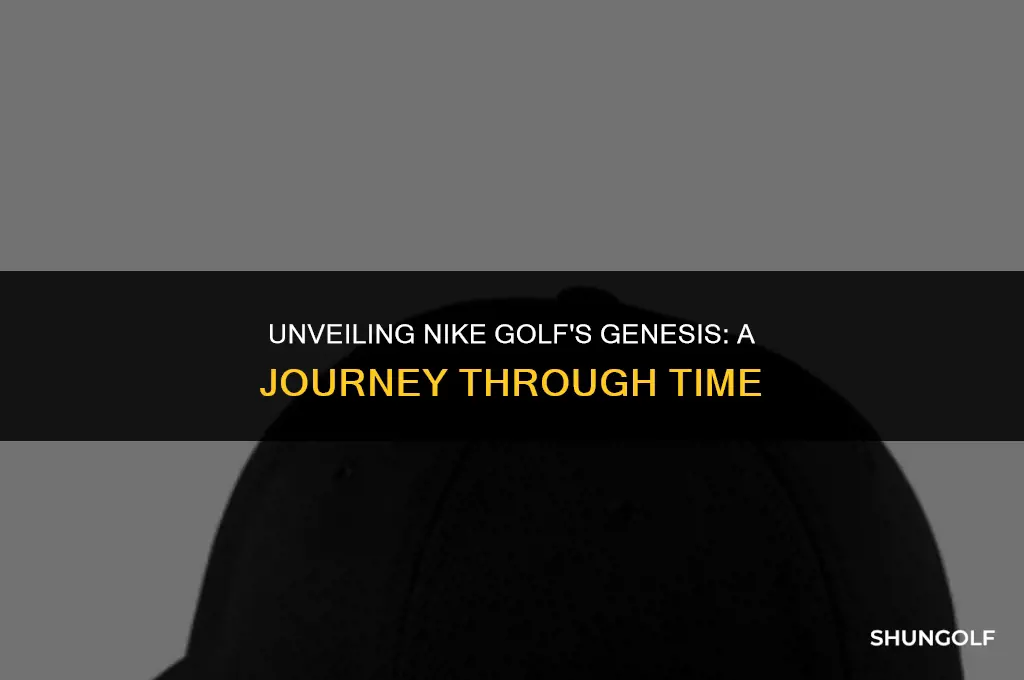 what year did nike golf start
