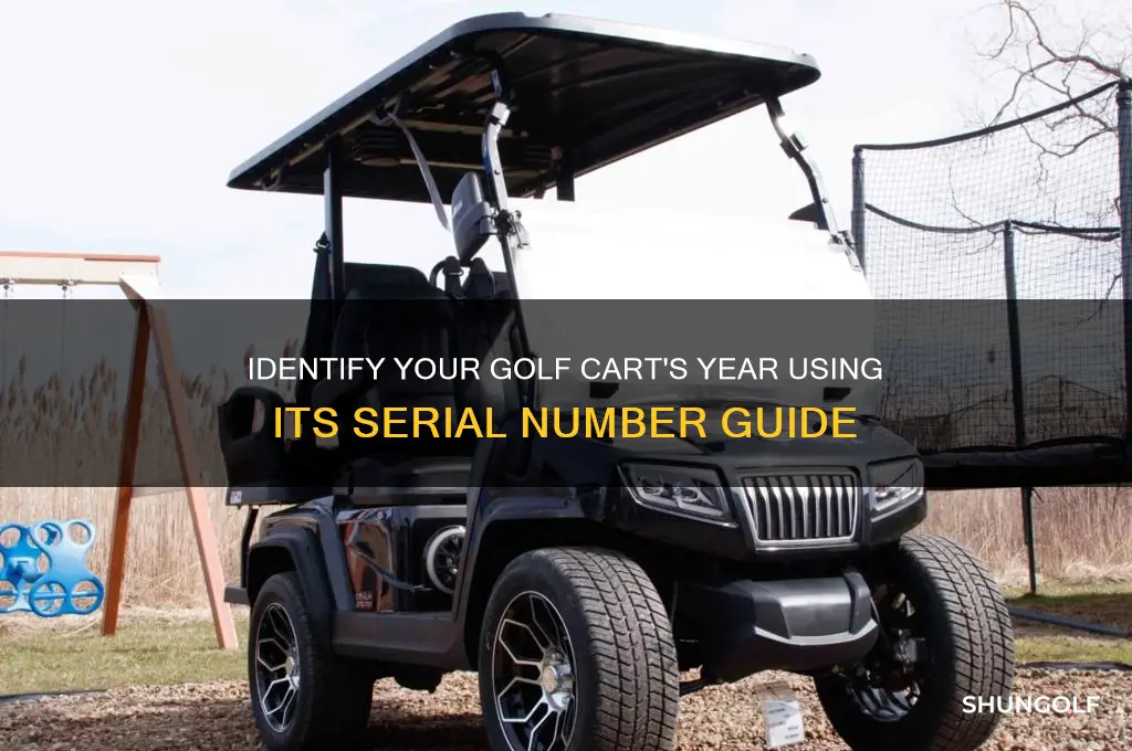 what year is my golf cart by serial number