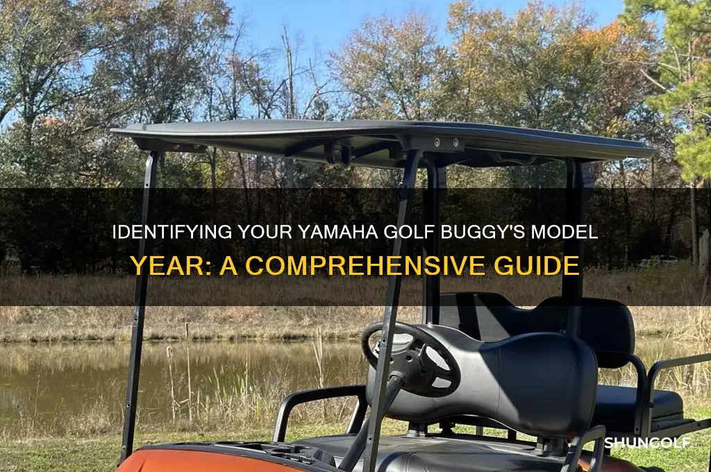 what year is my yamaha golf buggy