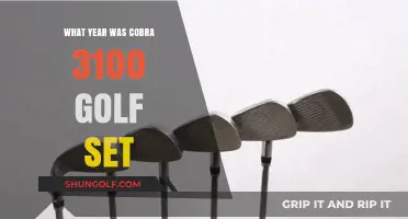 Discovering the Release Year of Cobra 3100 Golf Set