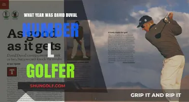 David Duval's Reign: The Year He Became World's Top Golfer
