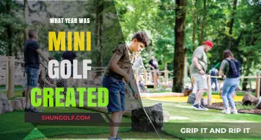 The Evolution of Mini Golf: A Historical Perspective